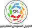 Pro League