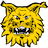 Ilves Tampere