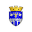 Edineţ