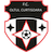Oltul Curtişoara