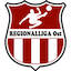 Regionalliga - Ost
