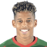 André Vidigal