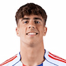 Afonso Moreira