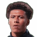 T. Sellars-Fleming