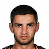 M. Shved