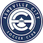 Asheville City