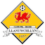 Llanuwchllyn