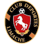 Deportes Limache