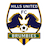 Hills Brumbies