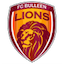 Bulleen Lions
