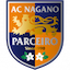 Parceiro Nagano W