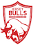 Jersey Bulls