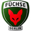 Reinickendorfer Fuchse
