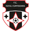Oltul Curtişoara