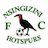 Nsingizini Hotspurs