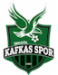İnegöl Kafkas Gençlik