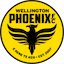 Wellington Phoenix II