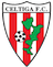 Celtiga