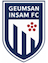 Geumsan Insam