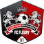 Fleury 91