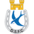 Dungannon Swifts
