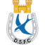 Dungannon Swifts