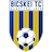 Bicskei