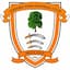 Ashford Town (Middlesex)
