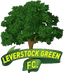 Leverstock Green