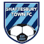 Shaftesbury Town