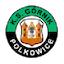 Górnik Polkowice