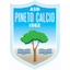 Pineto