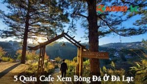 Top 5 quán cafe xem bóng đá ở Đà Lạt nên đến thử