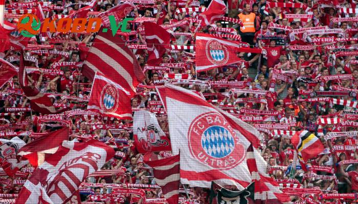 fan bayern gọi là gì