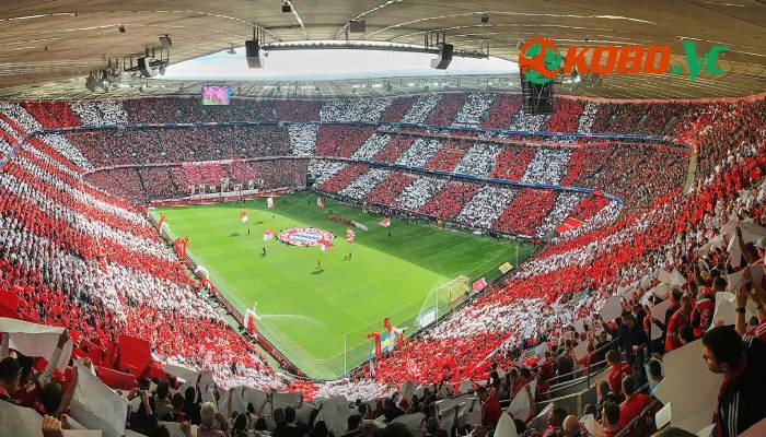 fan bayern munich gọi là gì