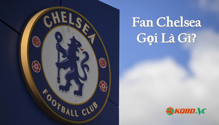 Fan Chelsea gọi là gì