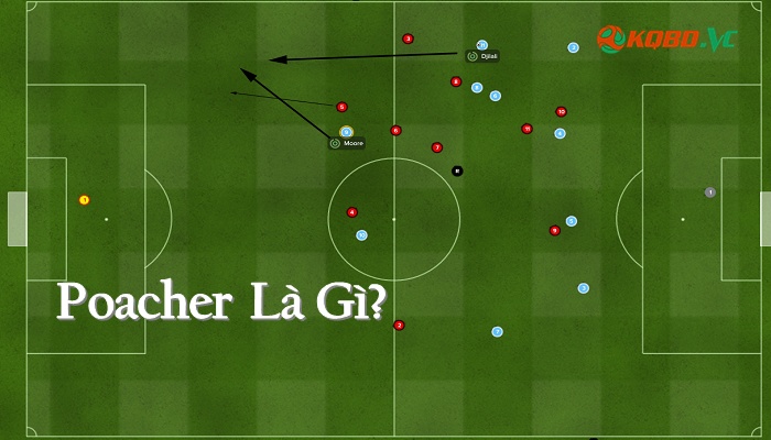 Poacher là gì