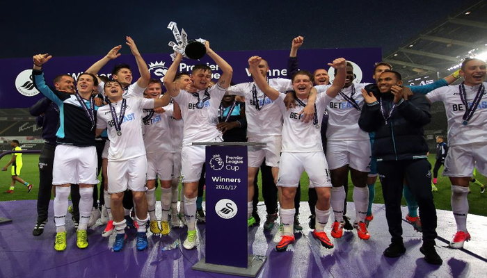 Lịch sử swansea city