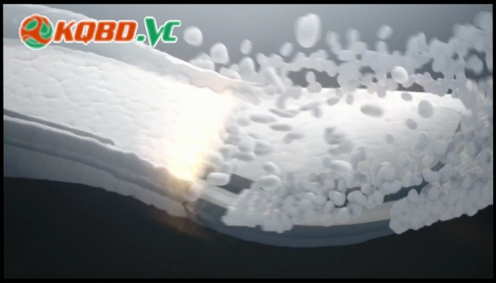 nike và adidas hãng nào tốt hơn